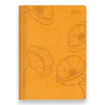 Picture of A6 DIARY DELUXE HONEY WEEK TO VIEW 2024
